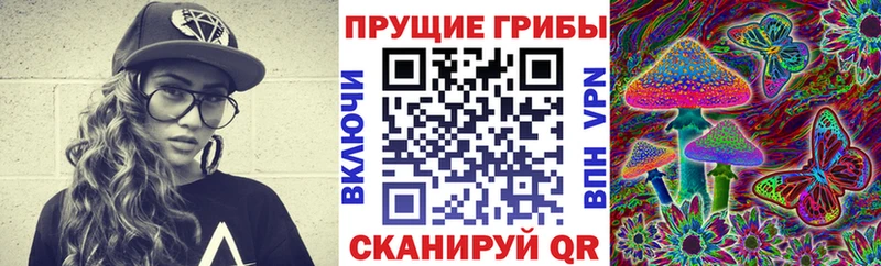 Псилоцибиновые грибы MAGIC MUSHROOMS  Шарья 